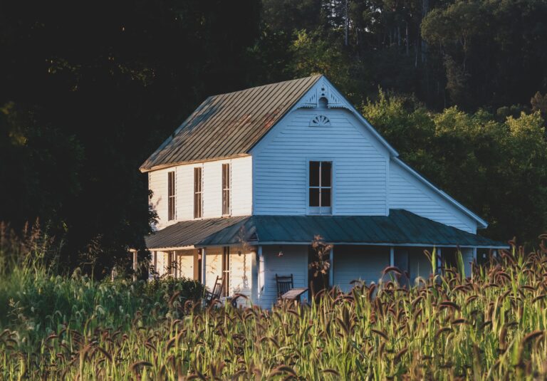 Farmhouse Decor From Amazon