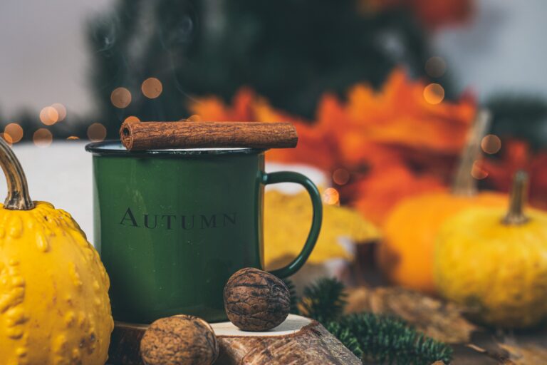Fall Home Decor From Amazon
